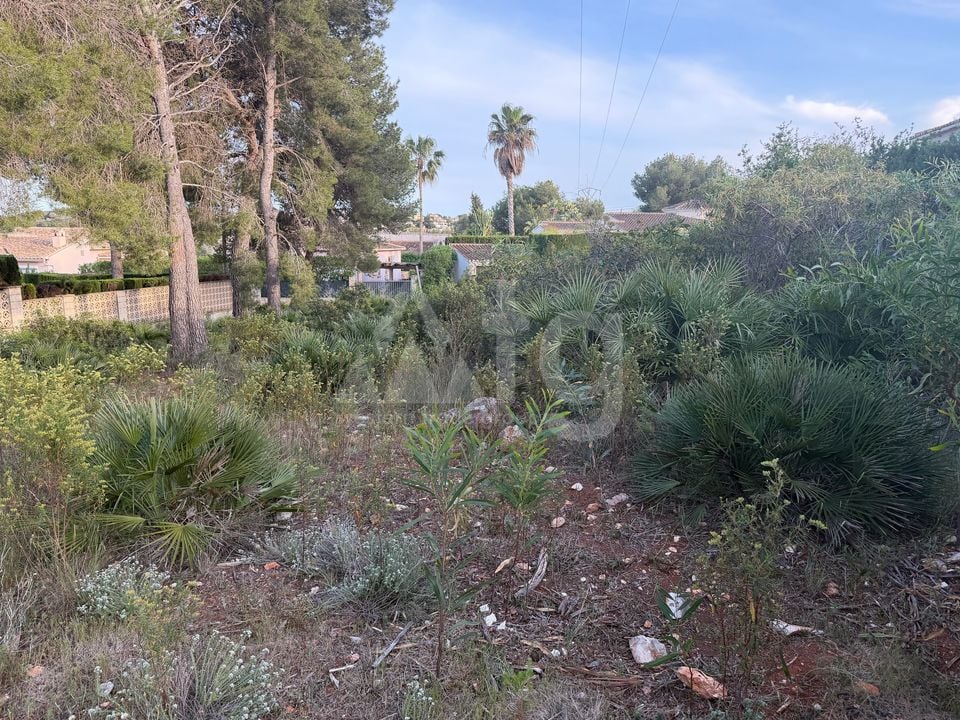 Parcela de  en Jávea- PVJ153712 - Foto - 9