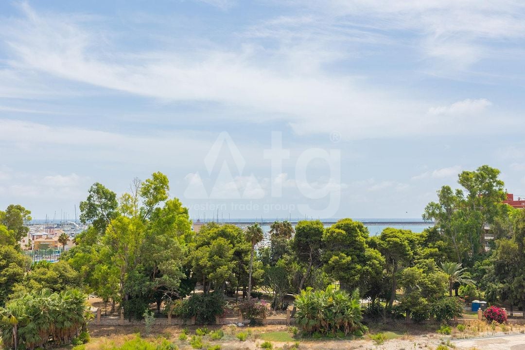 Appartement de 3 chambres à Torrevieja - GVS153866 - Photo - 23