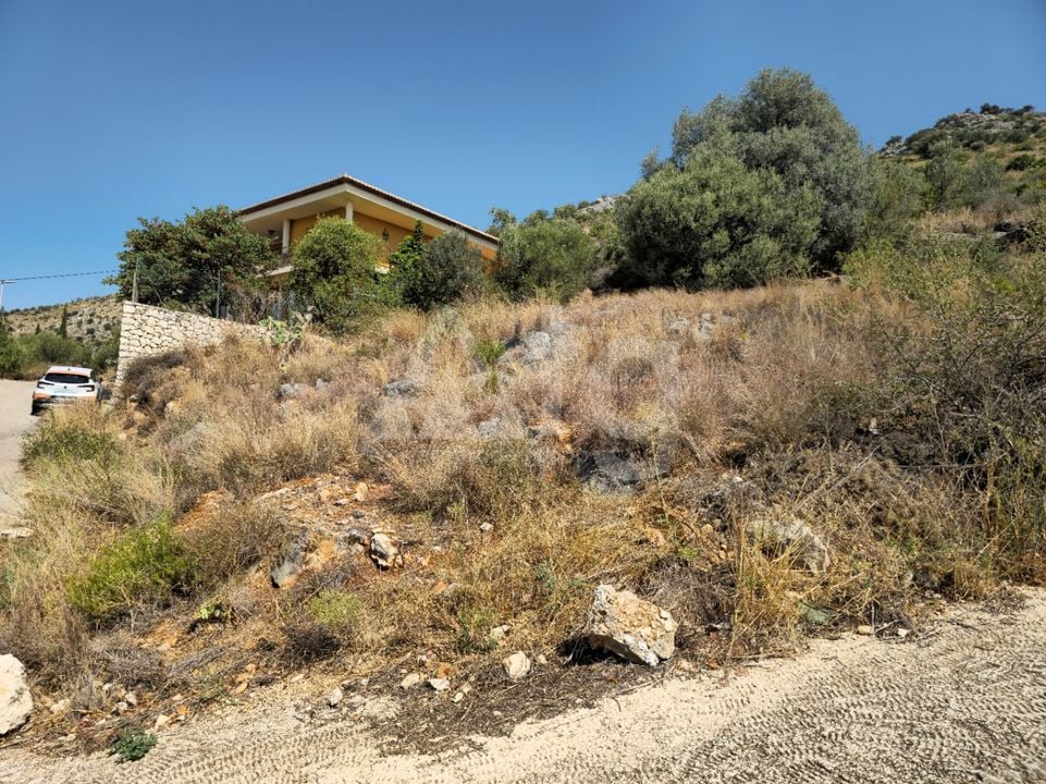 Parcela de  en Sanet y Negrals- PGP153927 - Foto - 8