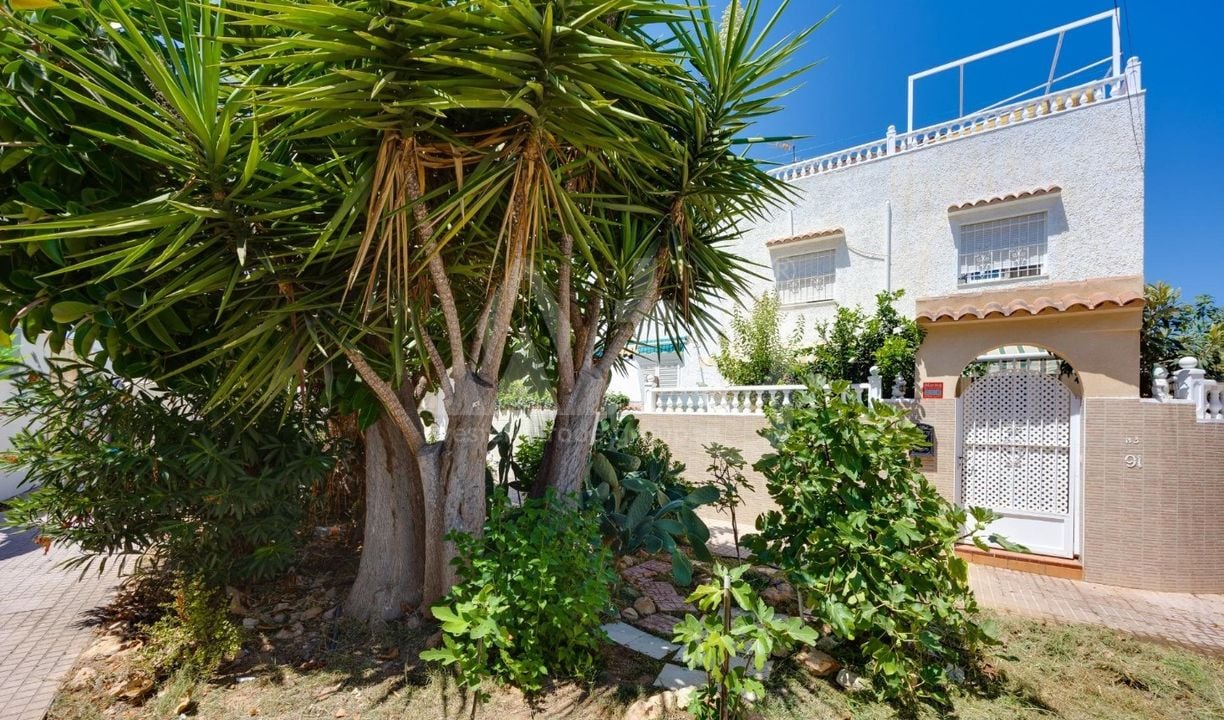 Villa de 2 chambres à Torrevieja - CYM154063 - Photo - 27
