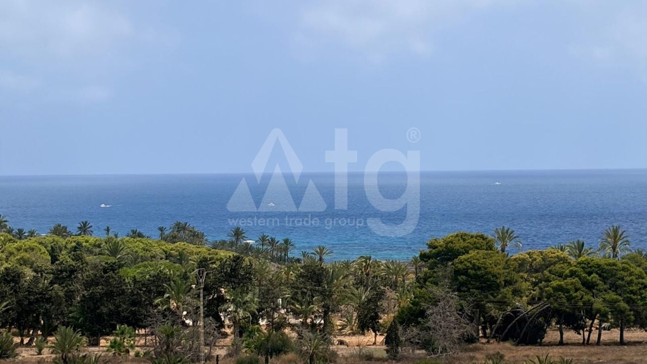 Appartement de 3 chambres à Punta Prima - LR154147 - Photo - 3