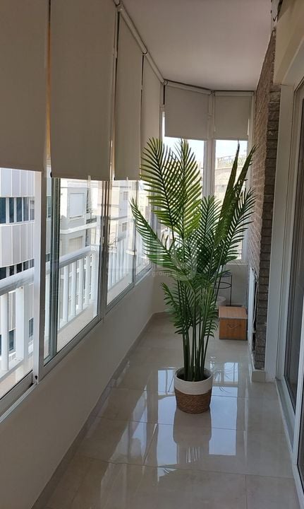 Appartement de 3 chambres à Torrevieja - PPS154160 - Photo - 15