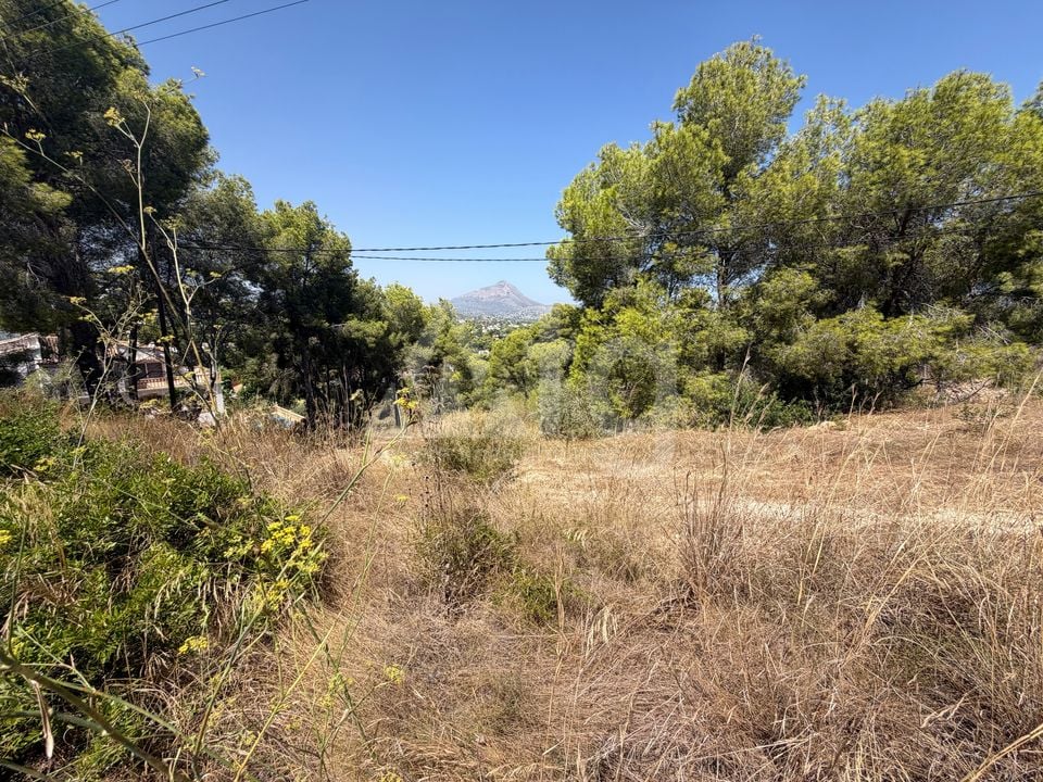 Parcela de  en Jávea- PVJ154161 - Foto - 1