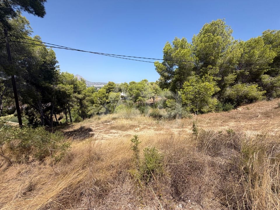 Parcela de  en Jávea- PVJ154161 - Foto - 2