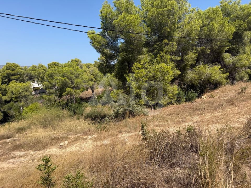 Parcela de  en Jávea- PVJ154161 - Foto - 3