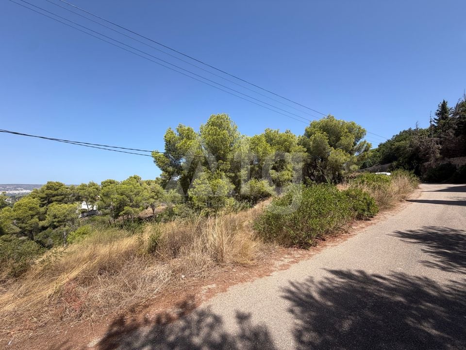 Parcela de  en Jávea- PVJ154161 - Foto - 4