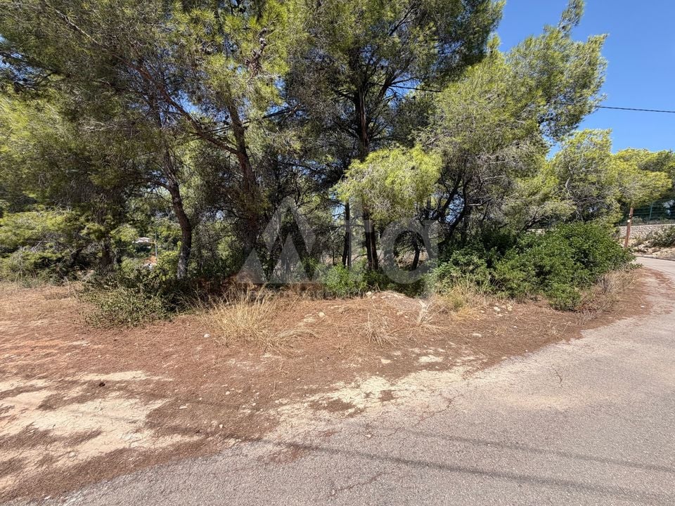 Parcela de  en Jávea- PVJ154161 - Foto - 7