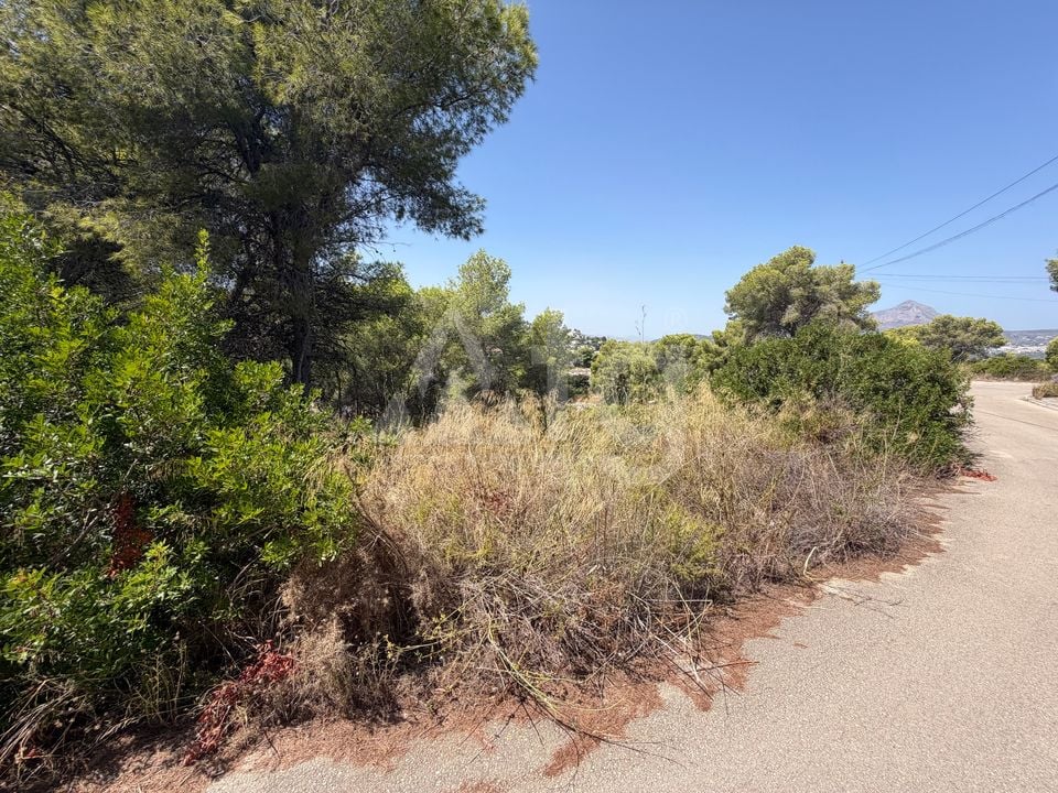 Parcela de  en Jávea- PVJ154161 - Foto - 8