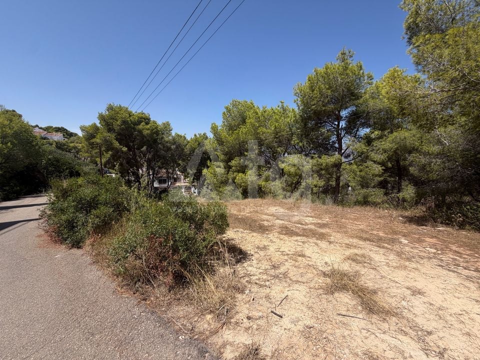 Parcela de  en Jávea- PVJ154161 - Foto - 6