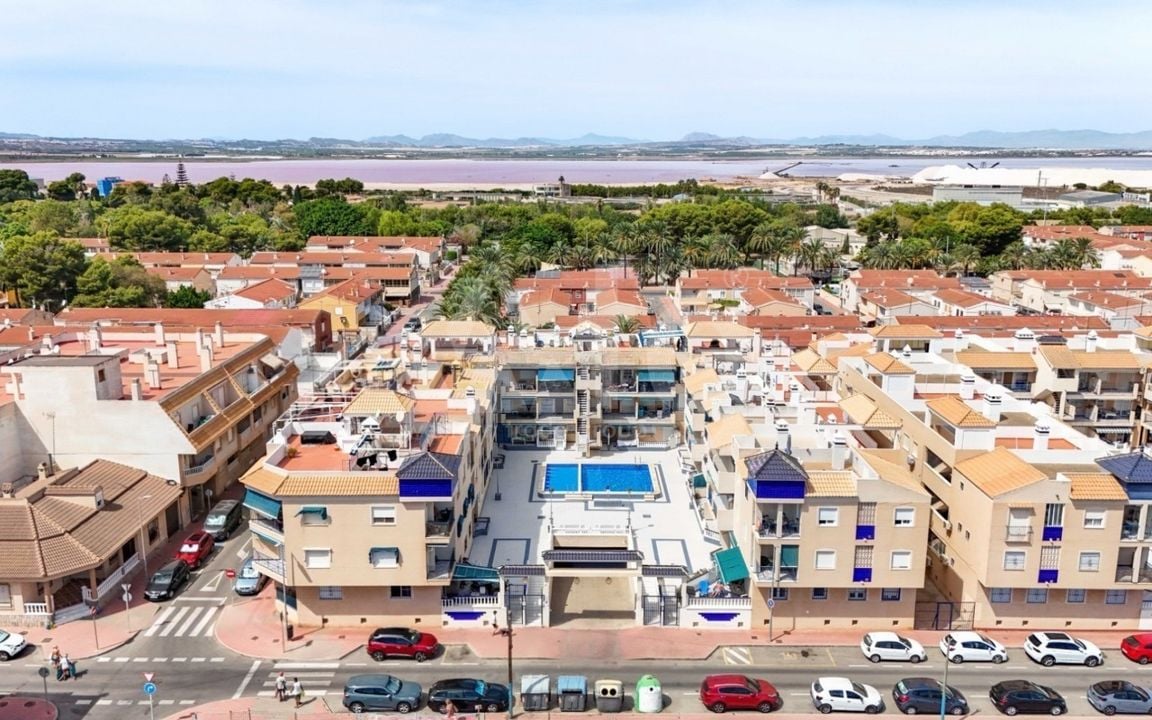 Appartement de 3 chambres à Torrevieja - TT154164 - Photo - 24
