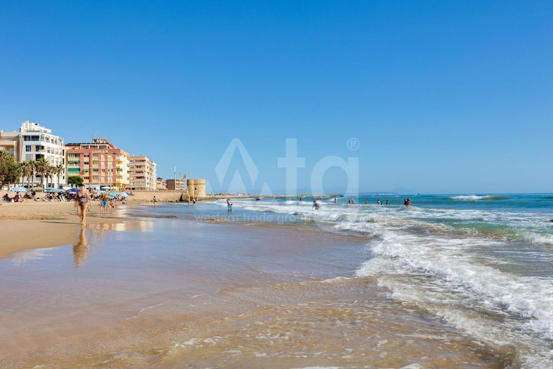 Appartement de 2 chambres à Torrevieja - GVS154204 - Photo - 23