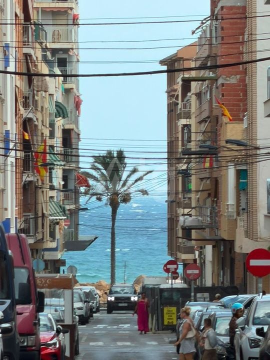 Appartement de 1 chambre à Torrevieja - CT154567 - Photo - 21