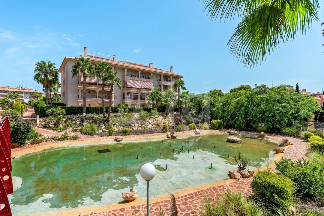 2 bedroom Apartment in Orihuela Costa - CBW154711 - Photo - 32