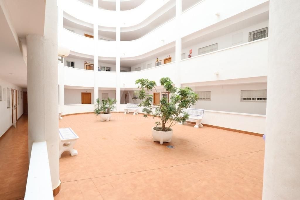 2 bedroom Apartment in Torrevieja - CRR155017 - Photo - 12