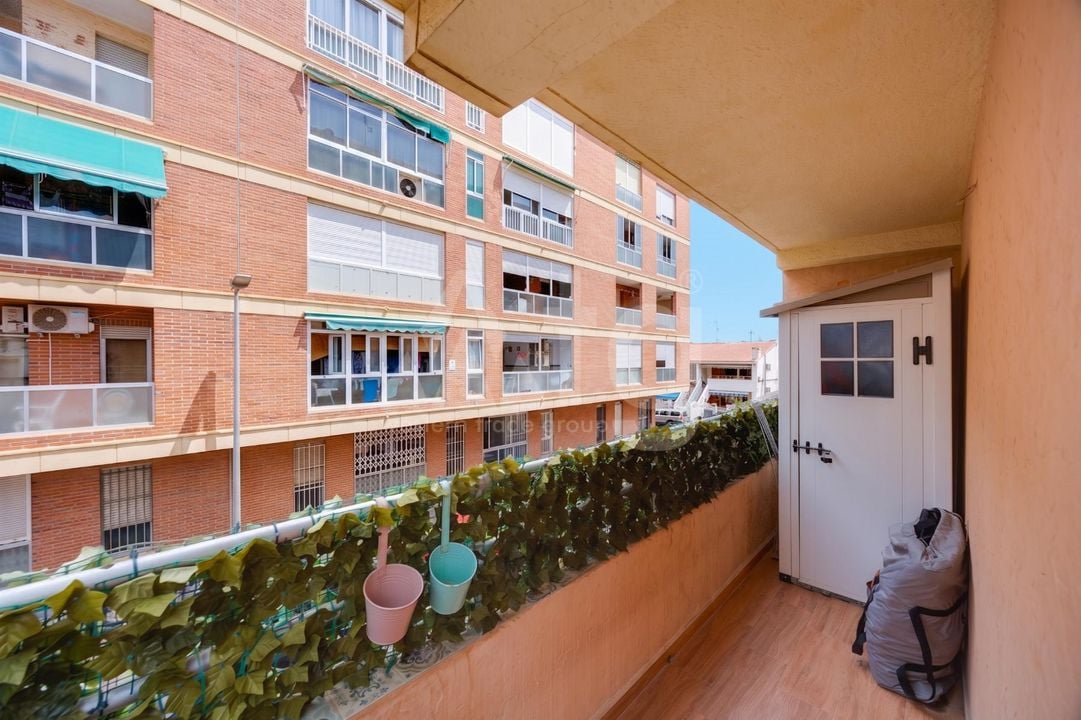 Appartement de 3 chambres à Torrevieja - TIM155032 - Photo - 27