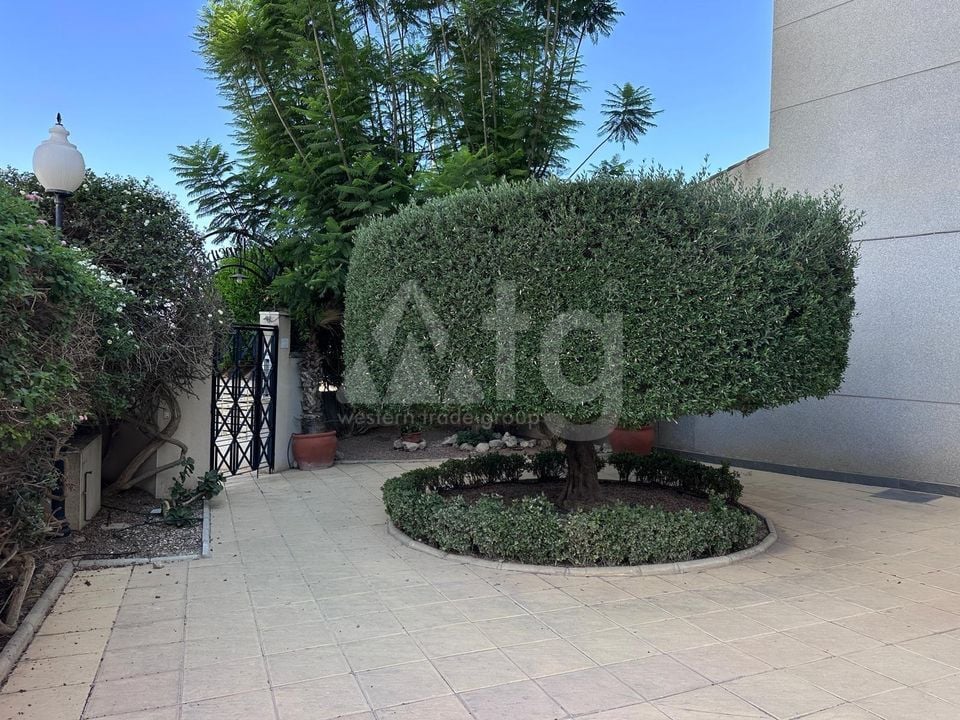 Appartement de 2 chambres à Guardamar del Segura - AG155220 - Photo - 19