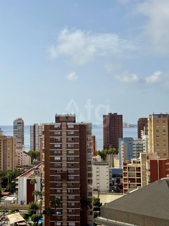 2 bedroom Apartment in Benidorm - SSL155253 - Photo - 22