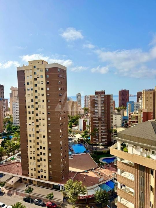 2 bedroom Apartment in Benidorm - SSL155253 - Photo - 20