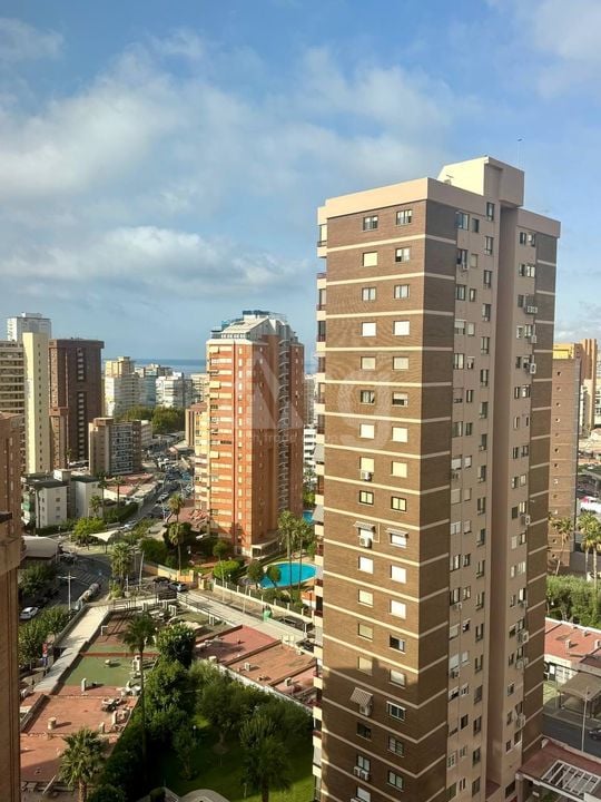 2 bedroom Apartment in Benidorm - SSL155253 - Photo - 1