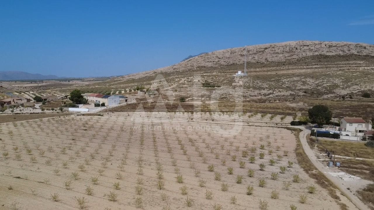 3 bedroom Villa in Pinoso - EDP155349 - Photo - 30