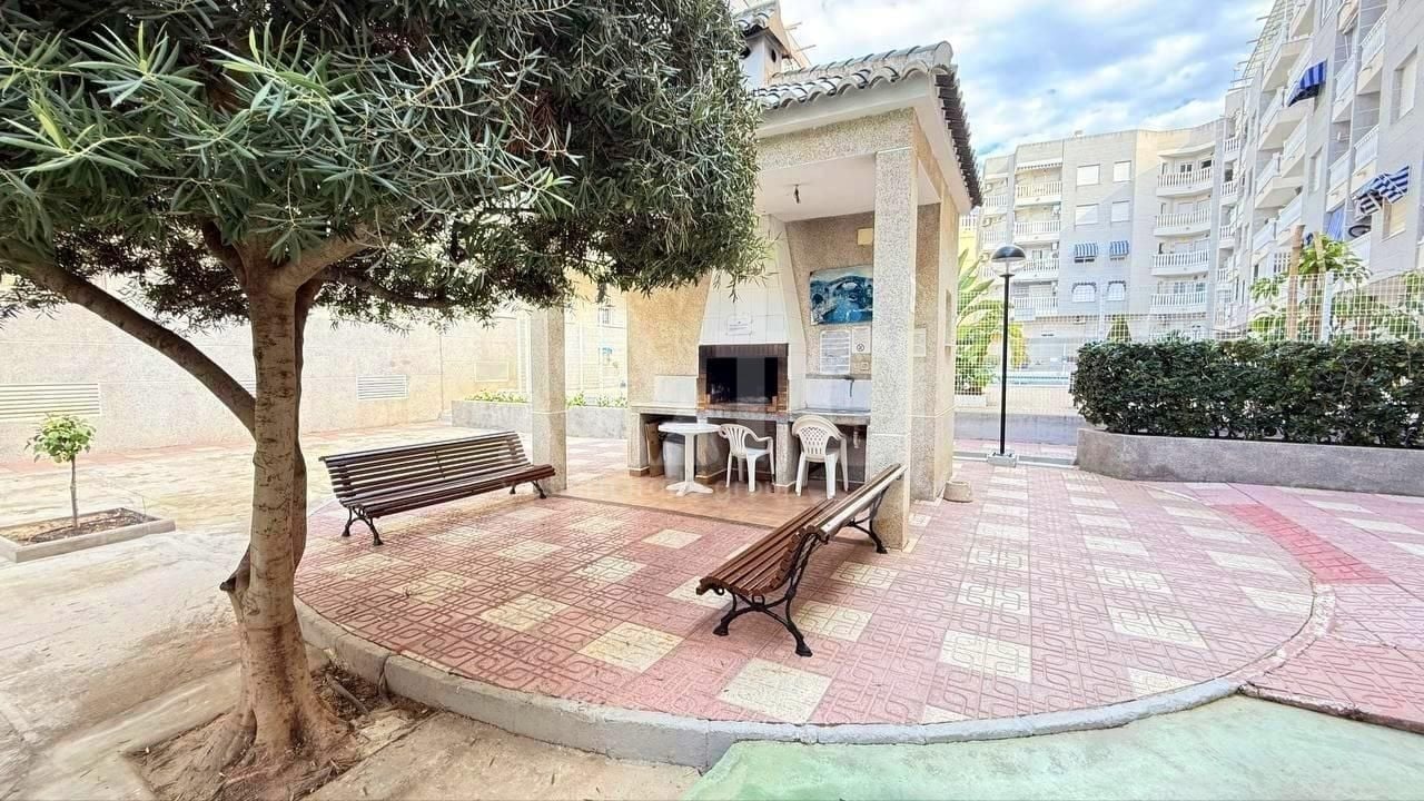 Appartement de 1 chambre à Torrevieja - AG155564 - Photo - 15