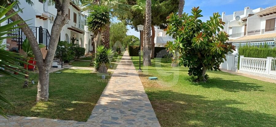 2 bedroom Townhouse in Cabo Roig - MP155605 - Photo - 18