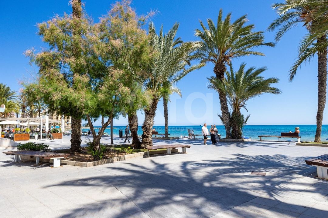  Apartment in Torrevieja- AG156085 - Photo - 23