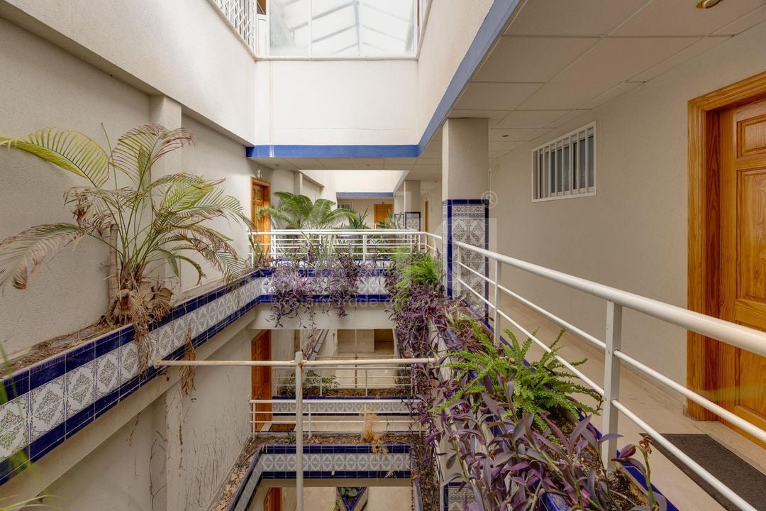 2 bedroom Penthouse in Torrevieja - CYM156292 - Photo - 19
