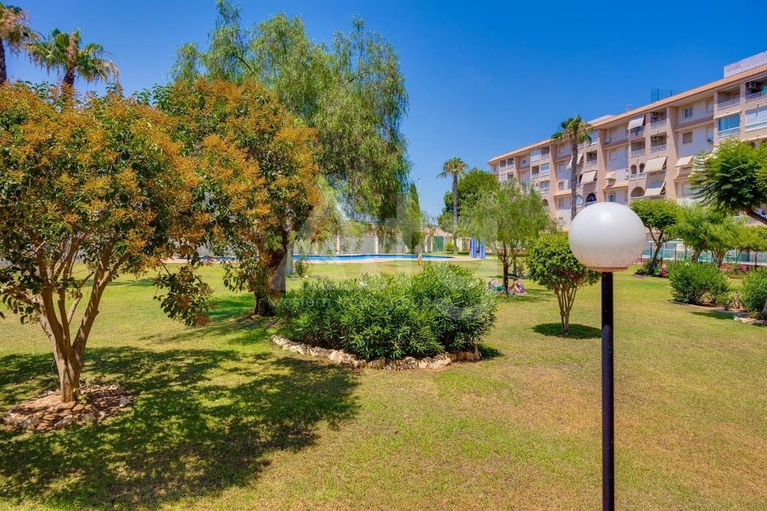 2 bedroom Apartment in Torrevieja - CYM156293 - Photo - 25