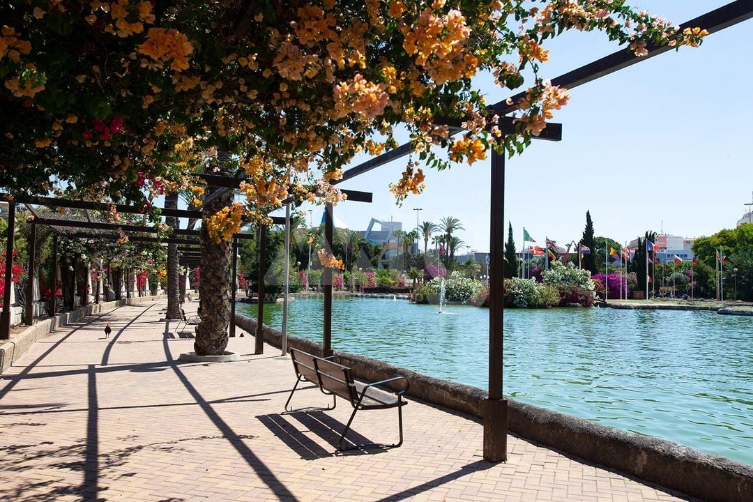 2 bedroom Apartment in Torrevieja - CYM156293 - Photo - 32