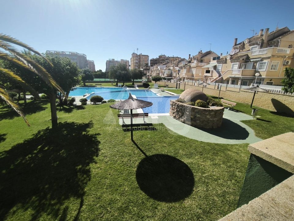 3 bedroom Bungalow in Torrevieja - AG156312 - Photo - 8