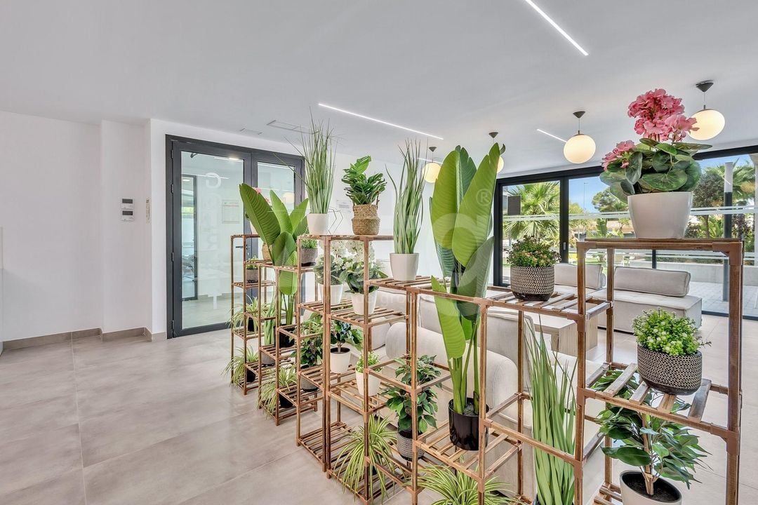 2 Schlafzimmer Appartement in Dehesa de Campoamor - AG157692 - Foto - 38