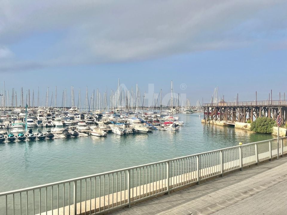 3 bedroom Apartment in Torrevieja - AG156802 - Photo - 19