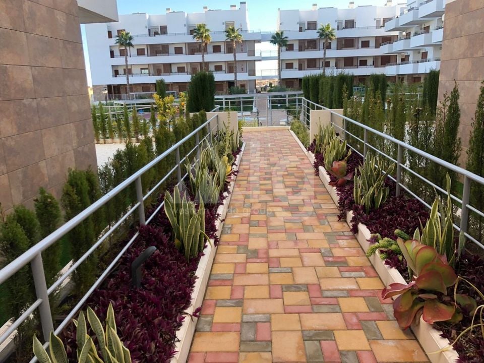 2 bedroom Apartment in Lomas de Cabo Roig - SID156850 - Photo - 17