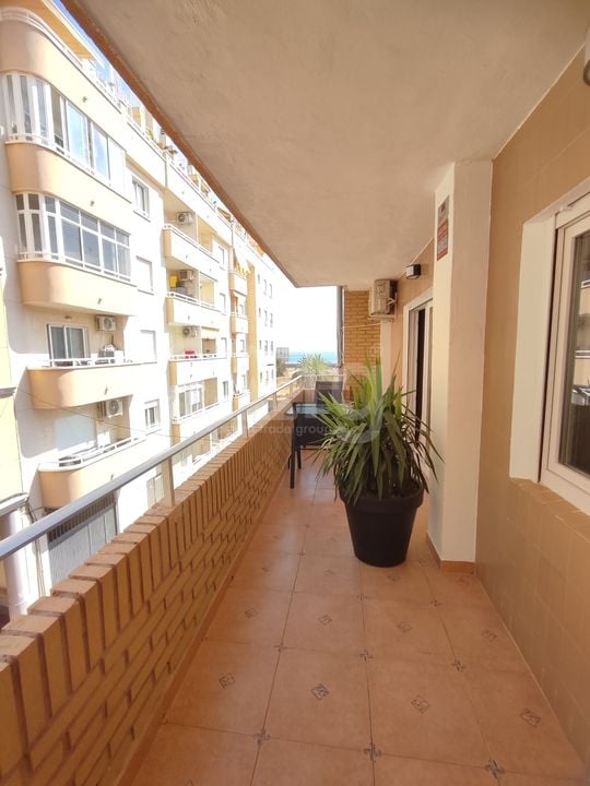 3 bedroom Apartment in Torrevieja - ET157410 - Photo - 22