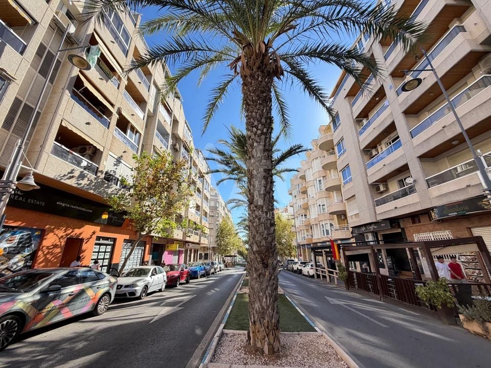 2 bedroom Apartment in Torrevieja - AG157432 - Photo - 23