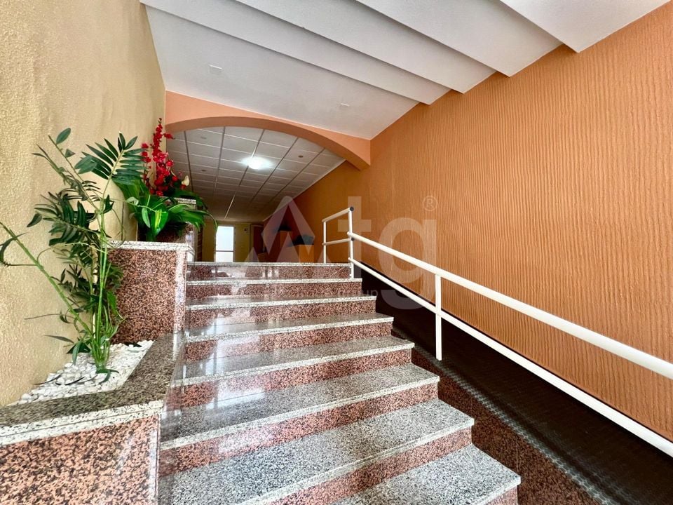 1 bedroom Apartment in Torrevieja - AG157441 - Photo - 17