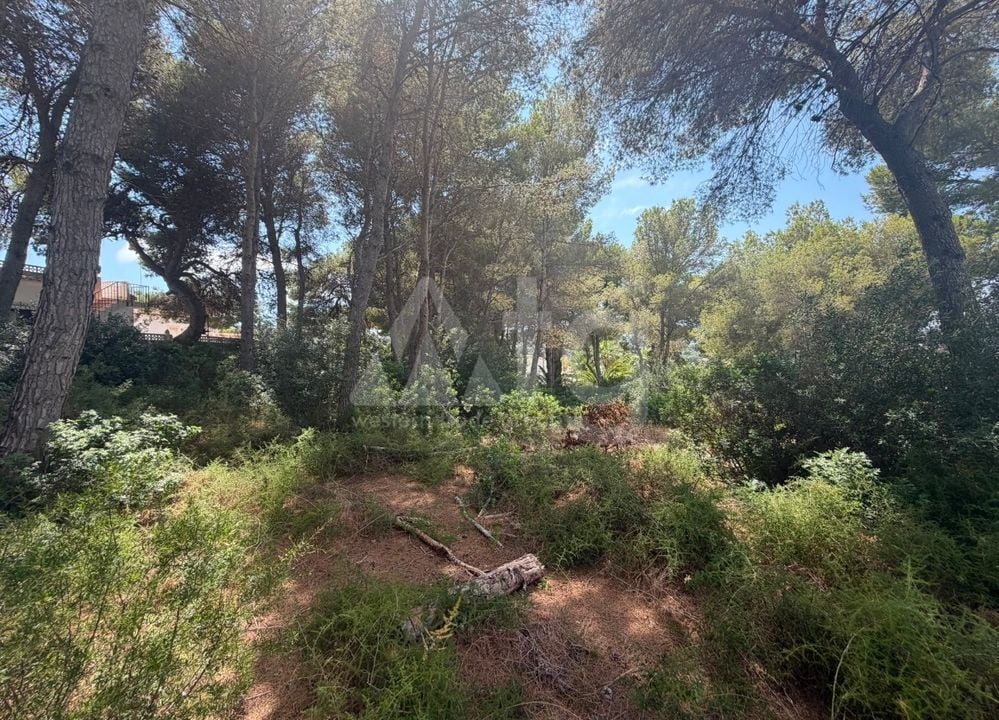  Plot in Javea- PVJ157522 - Photo - 2