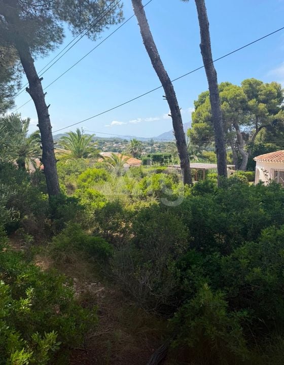 Plot in Javea- PVJ157522 - Photo - 4