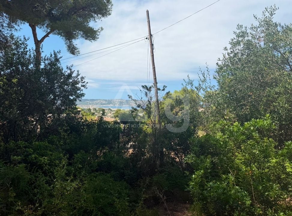 Plot in Javea- PVJ157522 - Photo - 6