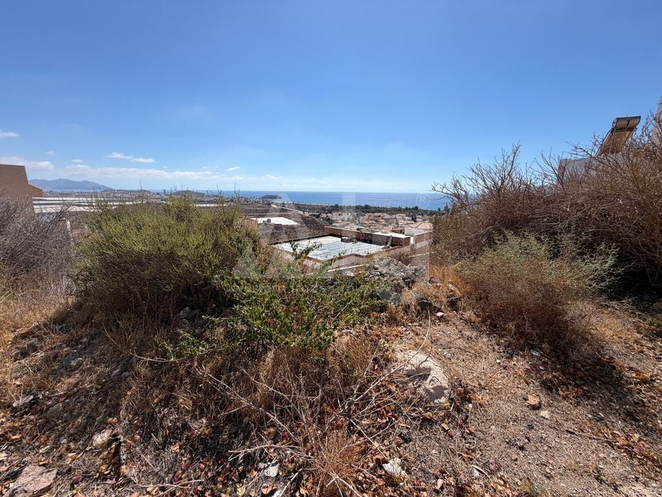  Plot in Mazarron- PVJ157524 - Photo - 5