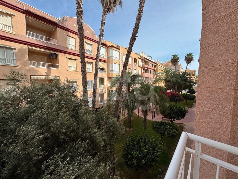 3 bedroom Apartment in Guardamar del Segura - NSP157719 - Photo - 16