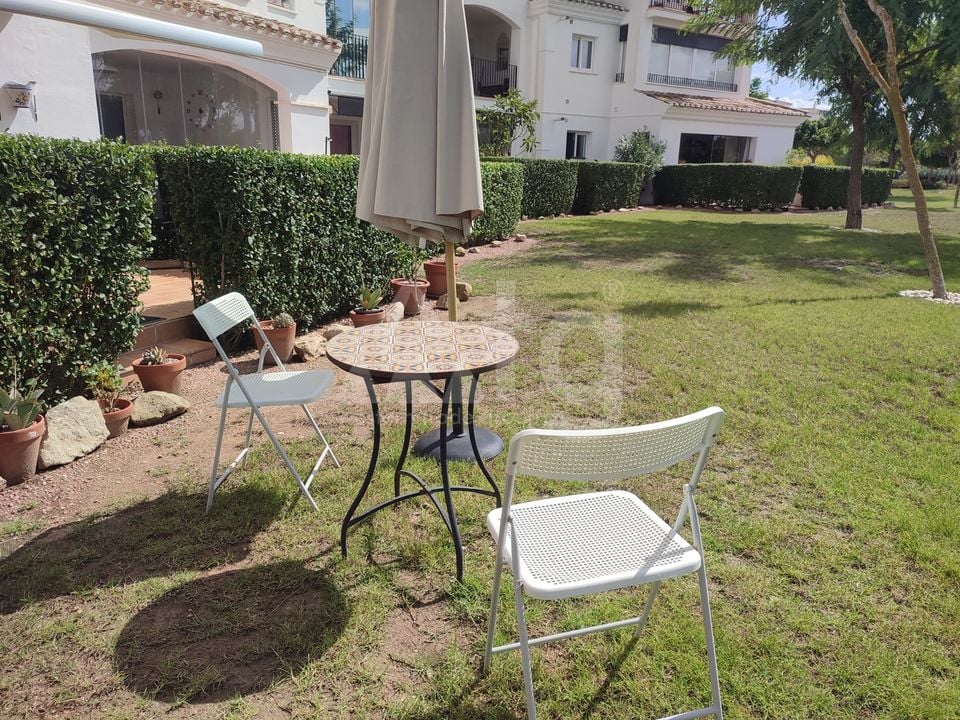 2 bedroom Apartment in Sucina - PSP157820 - Photo - 33