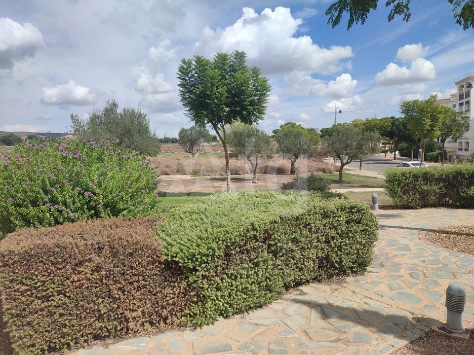 2 bedroom Apartment in Sucina - PSP157820 - Photo - 36