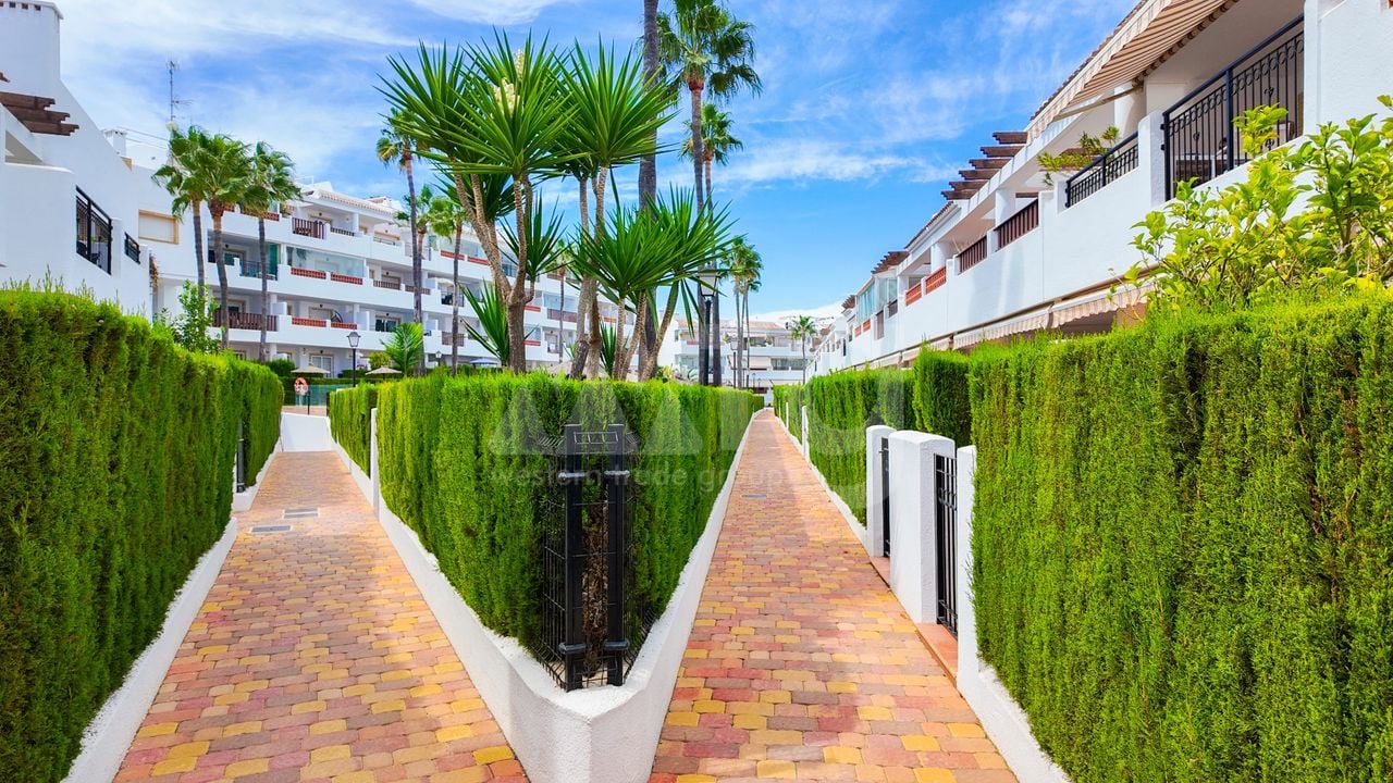 2 bedroom Penthouse in Villamartin - RPE157822 - Photo - 32