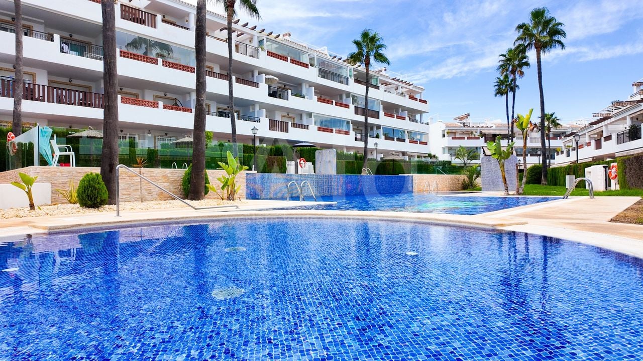 2 bedroom Penthouse in Villamartin - RPE157822 - Photo - 33
