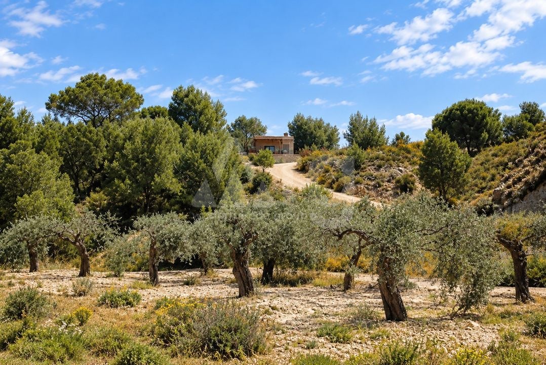 3 bedroom Villa in Murcia - FPS158009 - Photo - 25