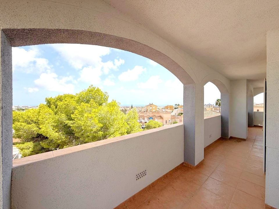 Villa de 5 chambres à San Miguel de Salinas - VH158230 - Photo - 29