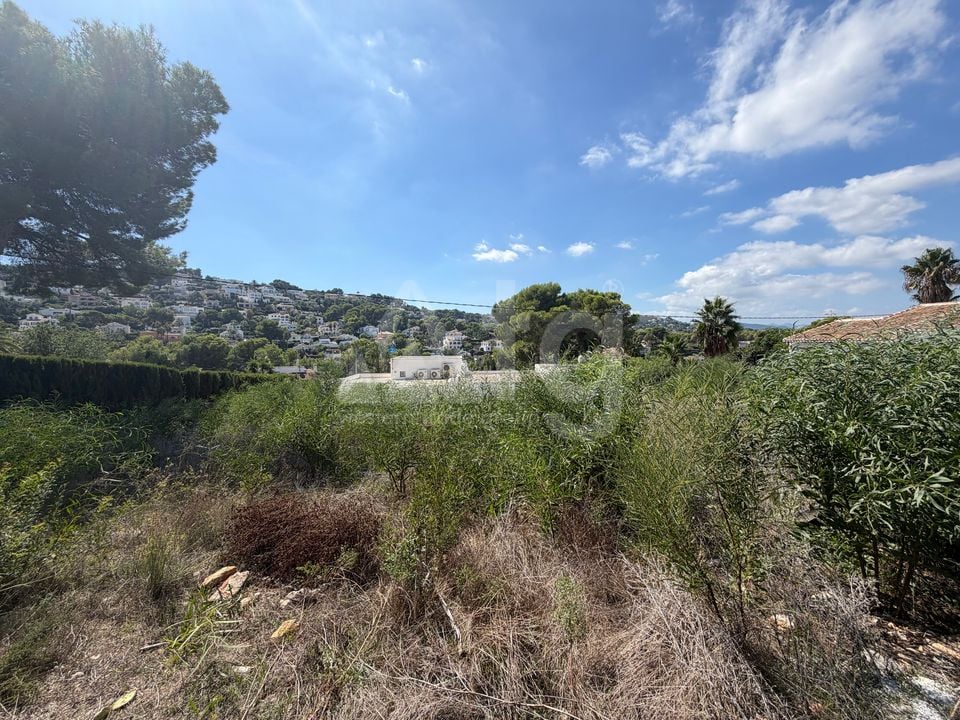  Plot in Javea- PVJ158471 - Photo - 2