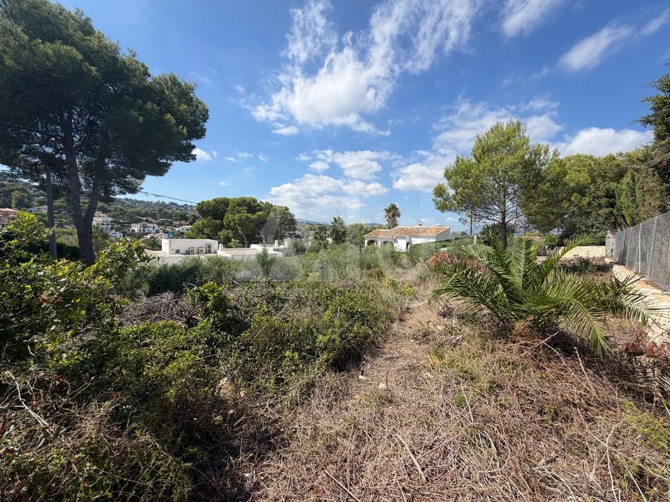  Plot in Javea- PVJ158471 - Photo - 4